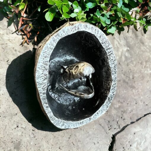 Snake Head Pewter