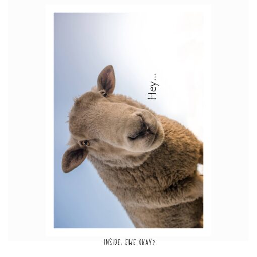 Ewe Okay? Funny Thinking of You Card